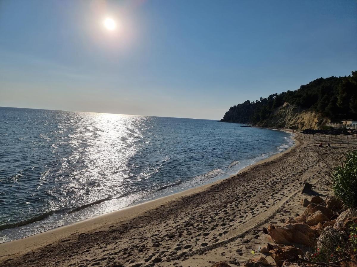 Beachfront Villa 100M From Sea For Up To 10 Guests Сівірі Екстер'єр фото
